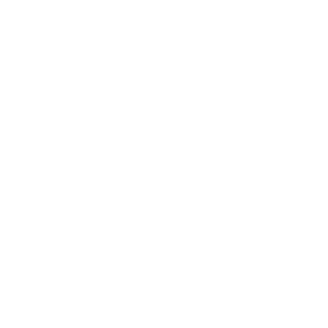 Cursos organizados e profissionais icone